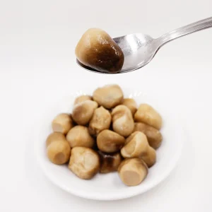 Canned straw mushroom