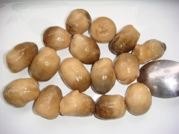 Canned straw mushroom