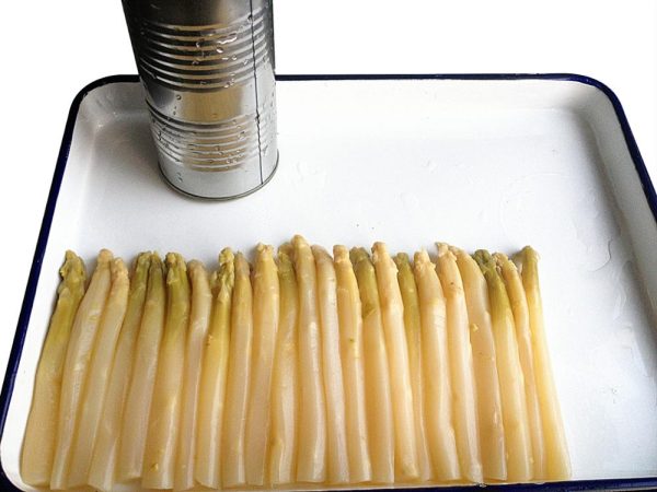 Canned white asparagus in tin